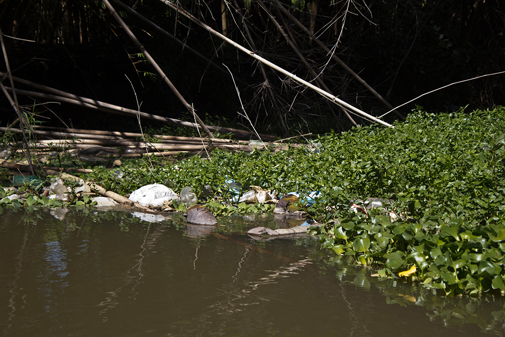 Foto: Laila Braghero/O Semanário