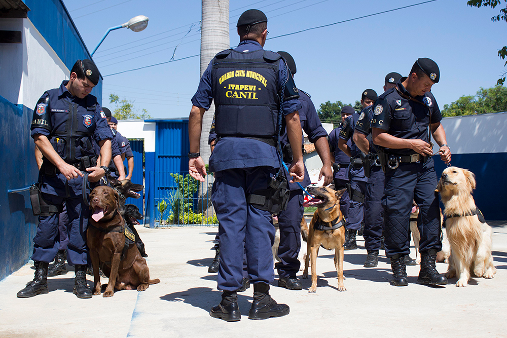 Capivari recebeu dois Labradores, um Pastor Belga, um Rottweiler e um Pastor Alemão (Foto: Laila Braghero/O Semanário)