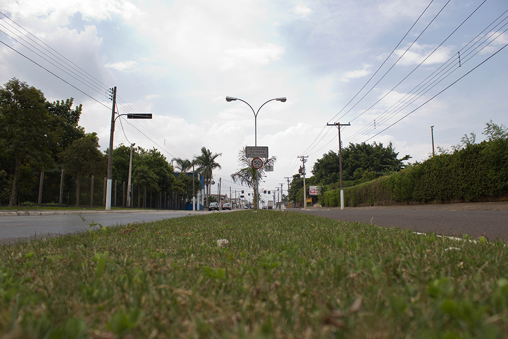 De onde vem o mau cheiro? (Foto: Laila Braghero/O Semanário)