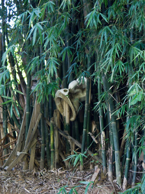 Foto: Laila Braghero/O Semanário