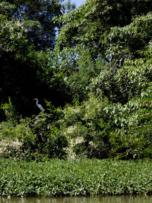 Foto: Laila Braghero/O Semanário