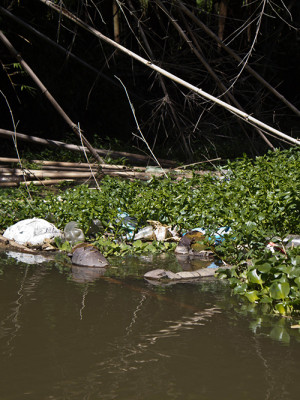 Foto: Laila Braghero/O Semanário