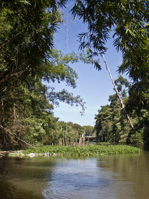 Foto: Laila Braghero/O Semanário